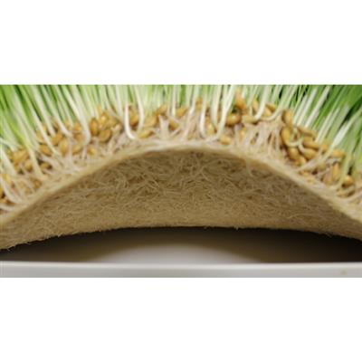 CropKing® FodderKing - Greenhouse Megastore