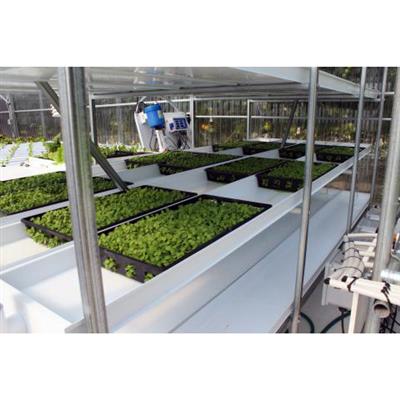 CropKing® Microgreen Rack - Greenhouse Megastore
