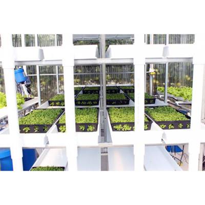 CropKing® Microgreen Rack - Greenhouse Megastore