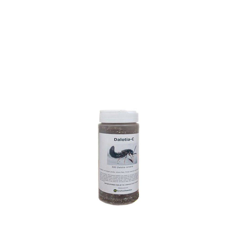 DALOTIAforce™ for Gnat Control - Greenhouse Megastore
