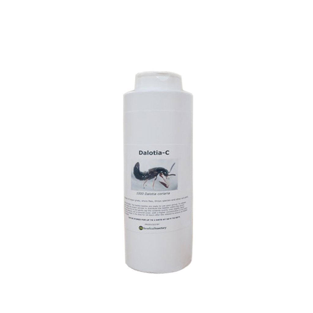 DALOTIAforce™ for Gnat Control - Greenhouse Megastore