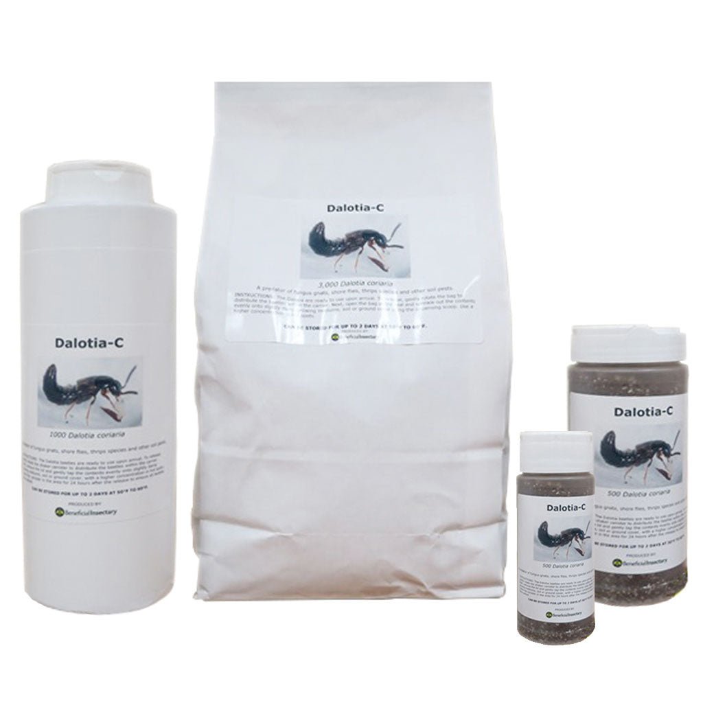 DALOTIAforce™ for Gnat Control - Greenhouse Megastore