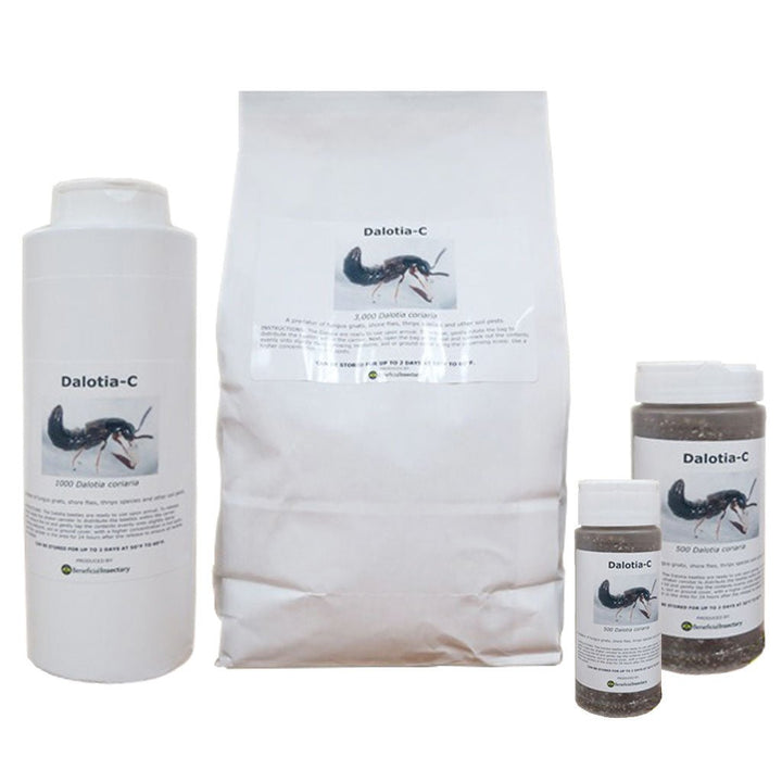 DALOTIAforce™ for Gnat Control - Greenhouse Megastore