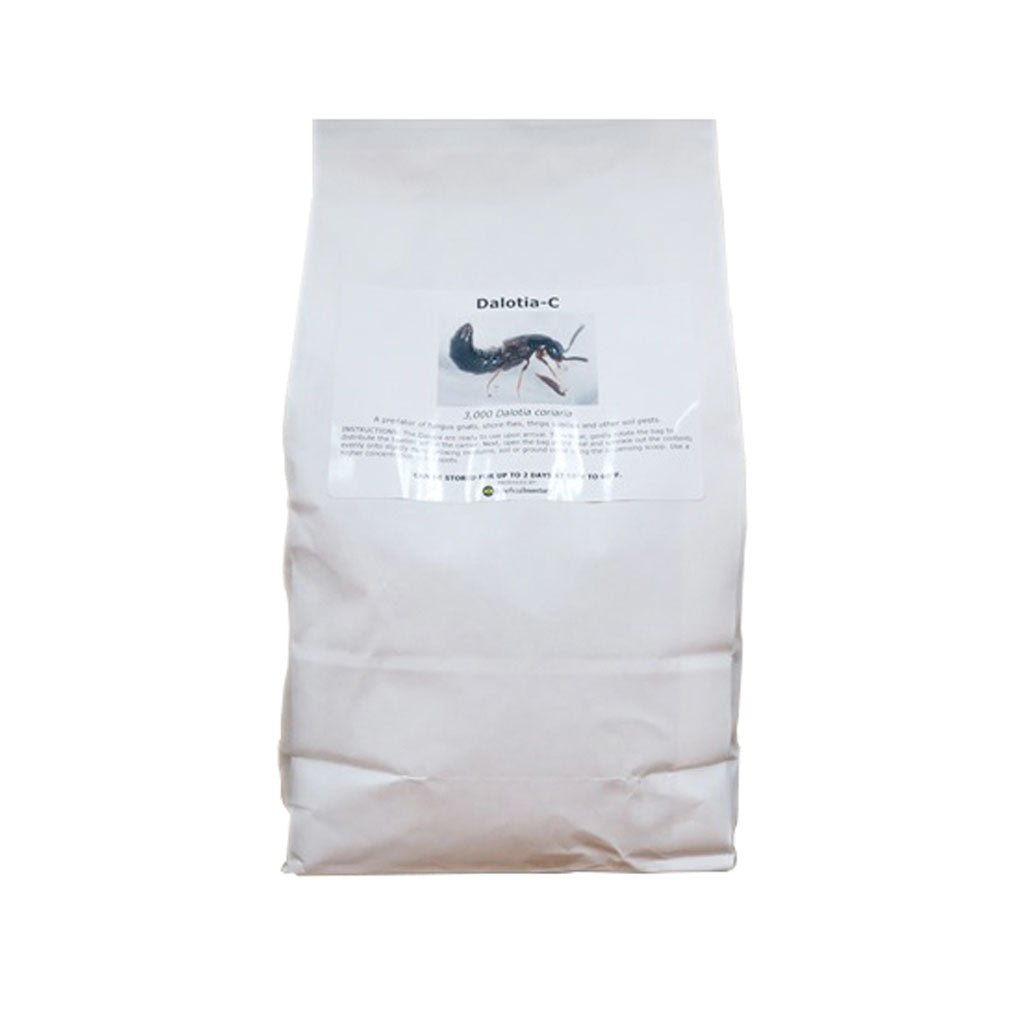 DALOTIAforce™ for Gnat Control - Greenhouse Megastore