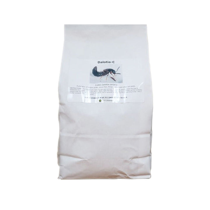 DALOTIAforce™ for Gnat Control - Greenhouse Megastore