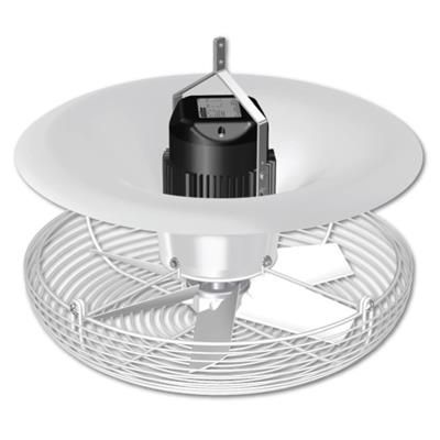 Destratifier 18 in. Vertical Fan - Greenhouse Megastore