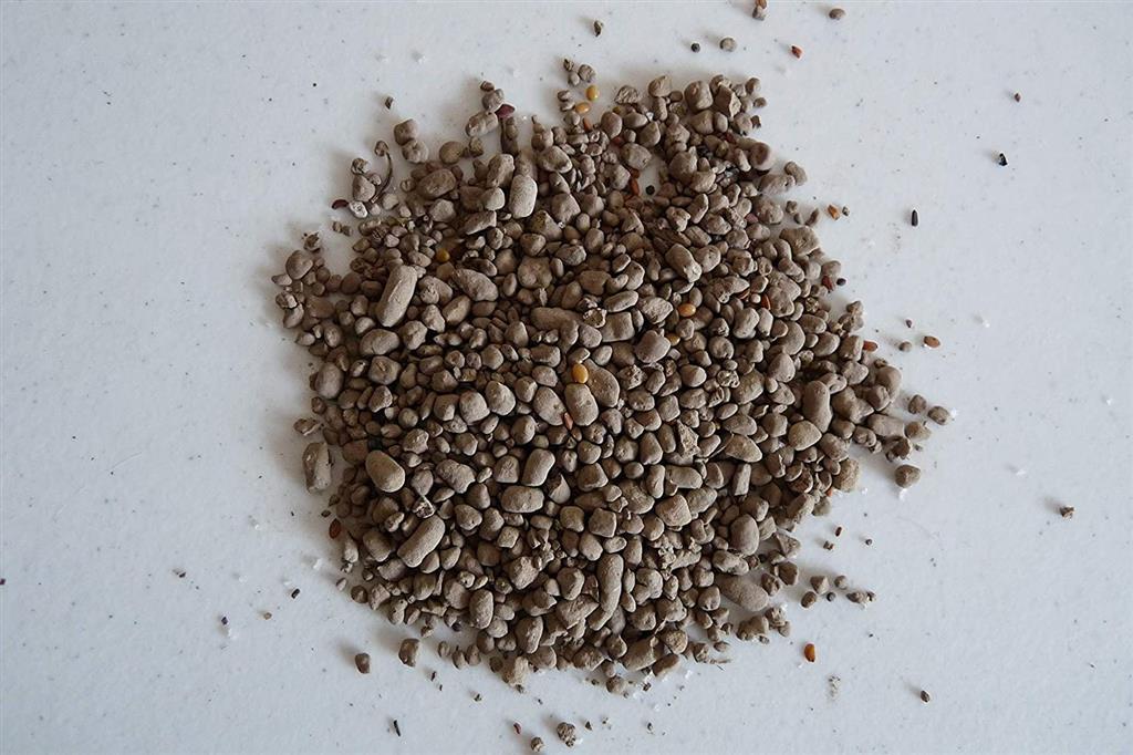 Earth Science® Butterfly & Hummingbird Seed - Greenhouse Megastore