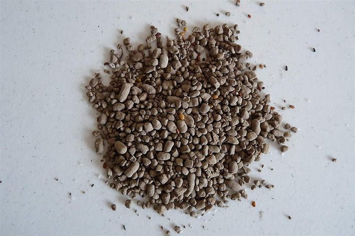 Earth Science® Butterfly & Hummingbird Seed - Greenhouse Megastore