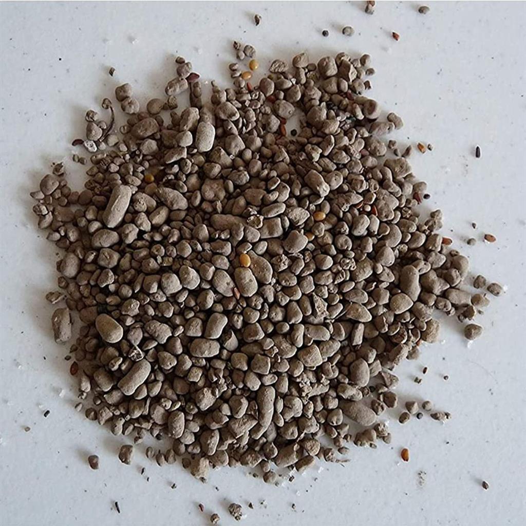 Earth Science® Wild Flower Seed - Greenhouse Megastore