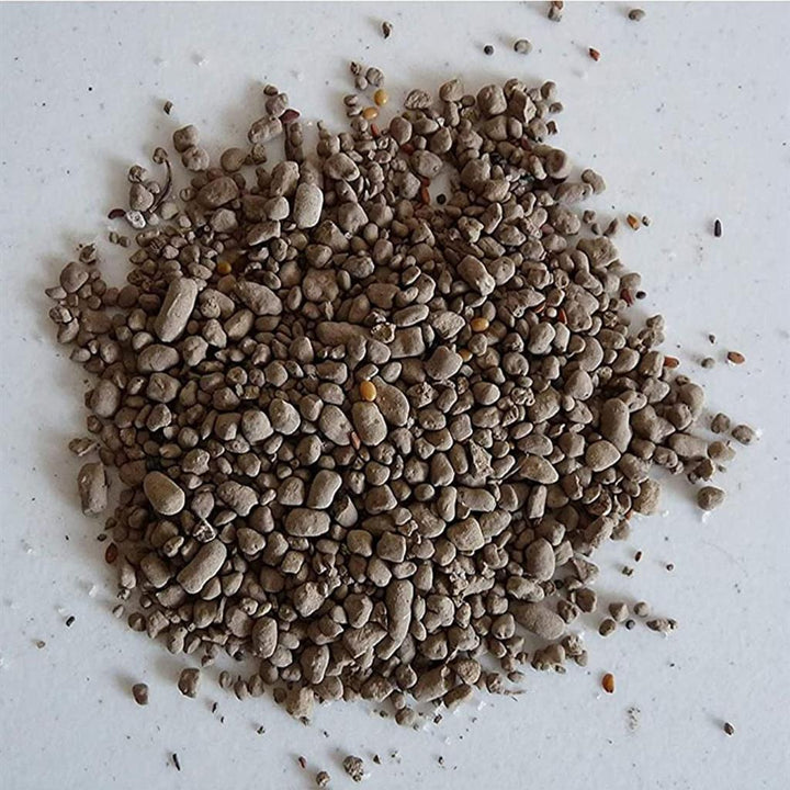 Earth Science® Wild Flower Seed - Greenhouse Megastore