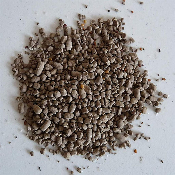 Earth Science® Wildflower Pollinator Seed - Greenhouse Megastore