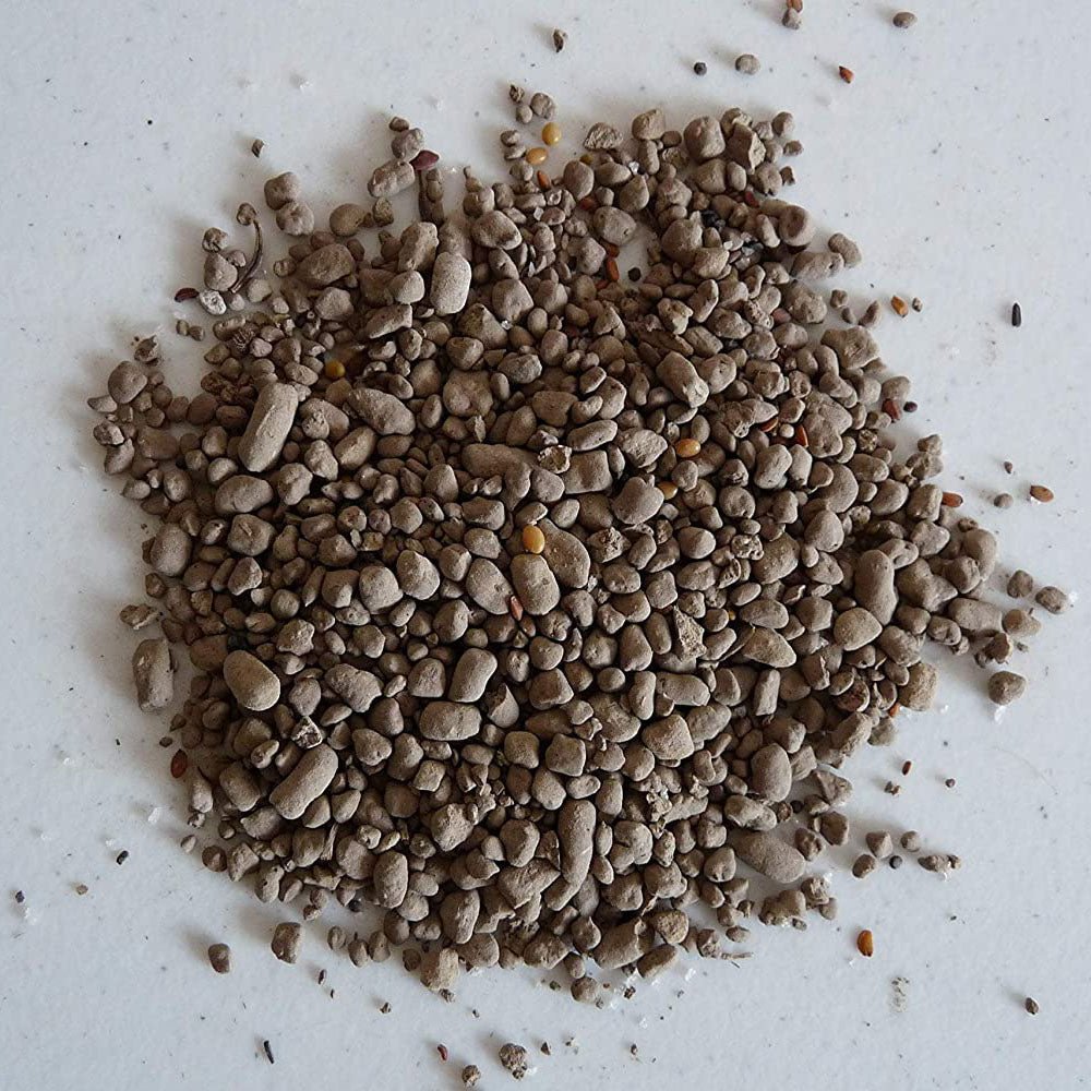 Earth Science® Zinnia Mix - Greenhouse Megastore
