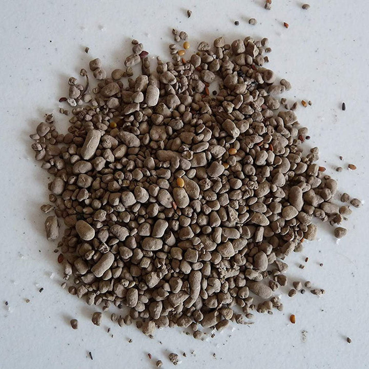Earth Science® Zinnia Mix - Greenhouse Megastore