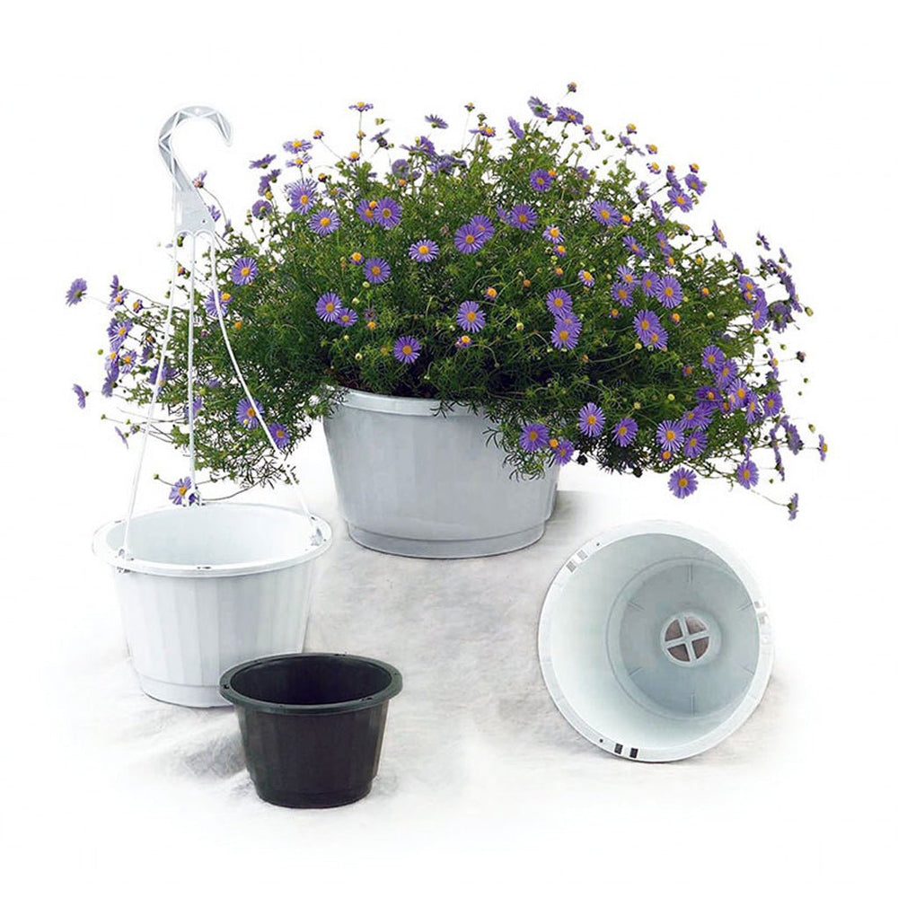 Elite 10 in. Hanging Baskets - Greenhouse Megastore