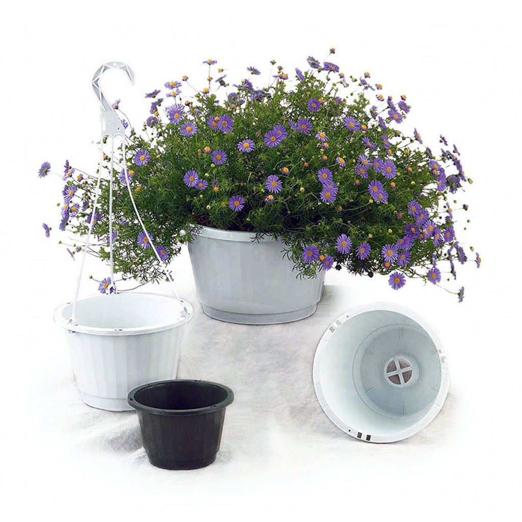 Elite 10 in. Hanging Baskets - Greenhouse Megastore