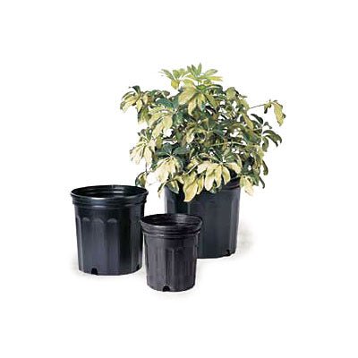 Elite Black Nursery Containers - Greenhouse Megastore