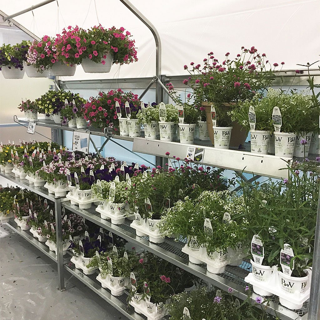 EZ Mart 10 ft. Wide Retail Greenhouse - Greenhouse Megastore