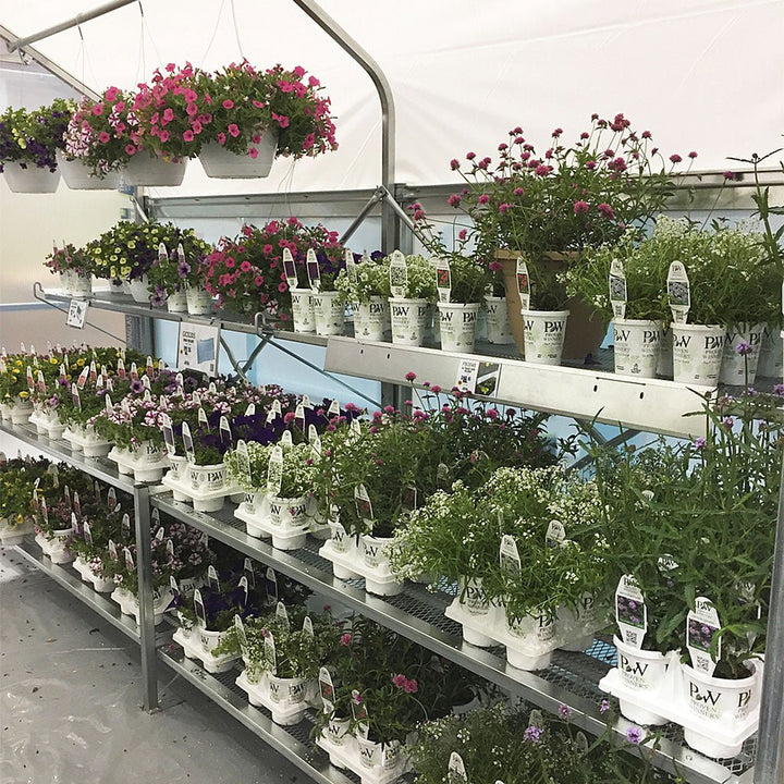 EZ Mart 10 ft. Wide Retail Greenhouse - Greenhouse Megastore