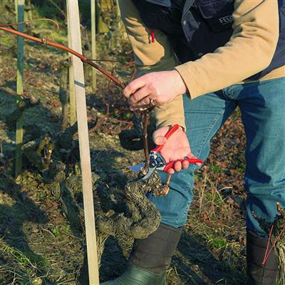 Felco F11 Narrow Blade Pruner - Greenhouse Megastore
