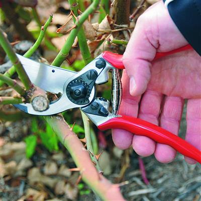 Felco F11 Narrow Blade Pruner - Greenhouse Megastore