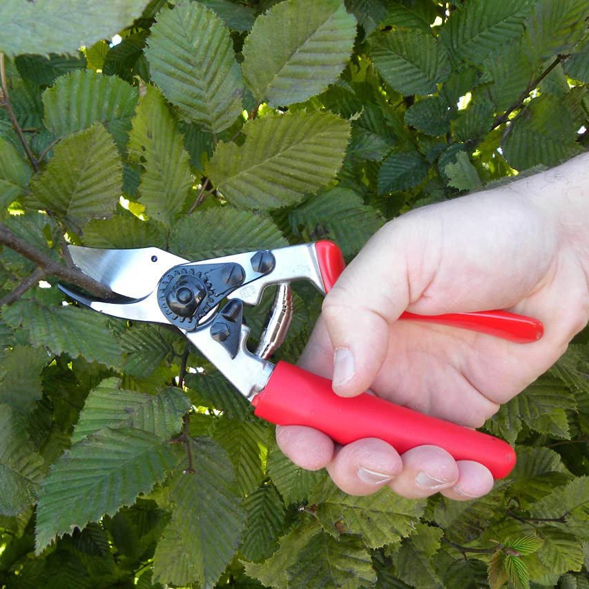Felco F12 Classic Pruner - Greenhouse Megastore