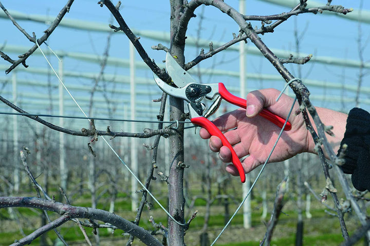 Felco F2 Original Pruner - Greenhouse Megastore