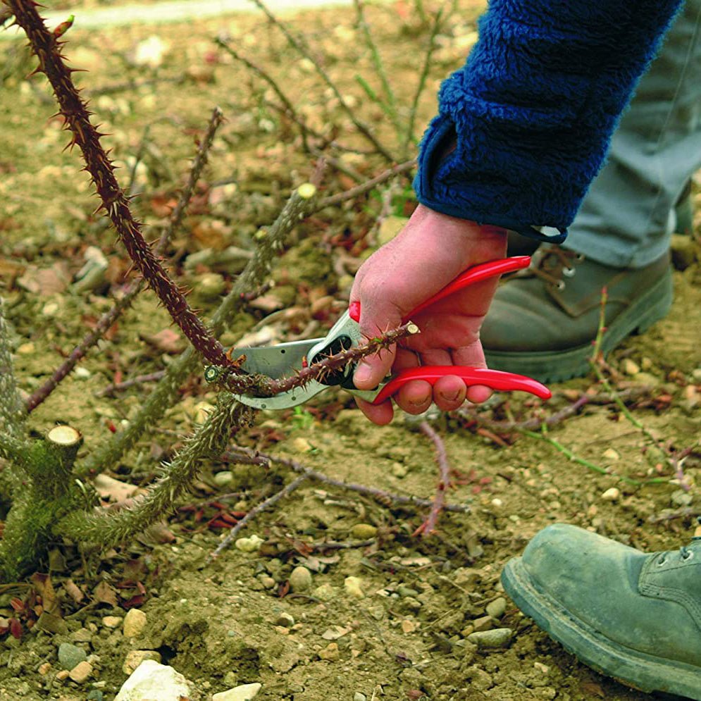 Felco F2 Original Pruner - Greenhouse Megastore