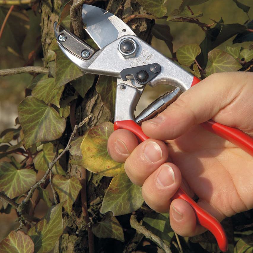 Felco F31 Anvil Pruner - Greenhouse Megastore