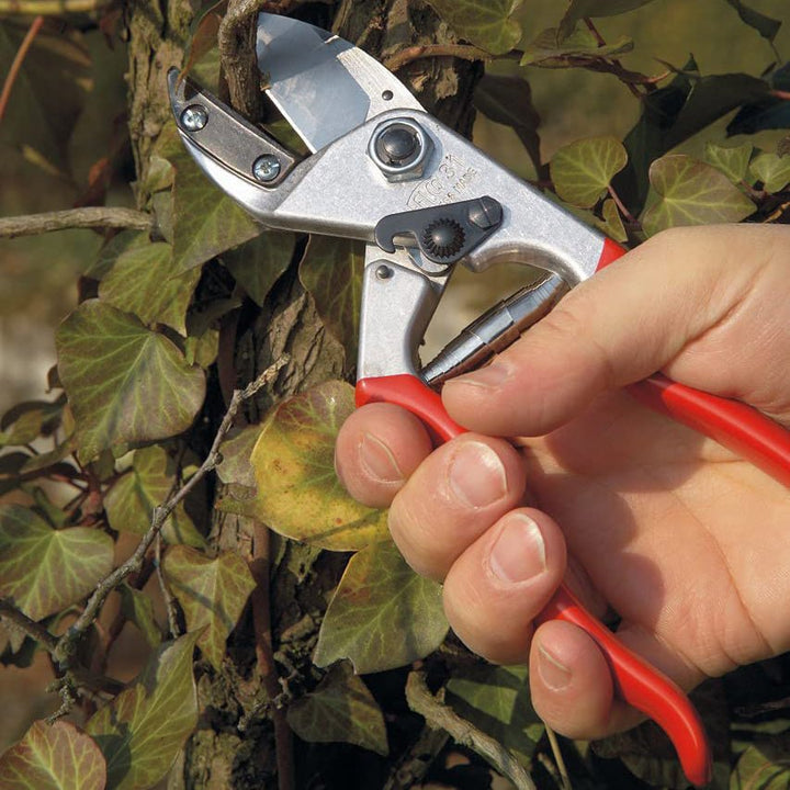 Felco F31 Anvil Pruner - Greenhouse Megastore