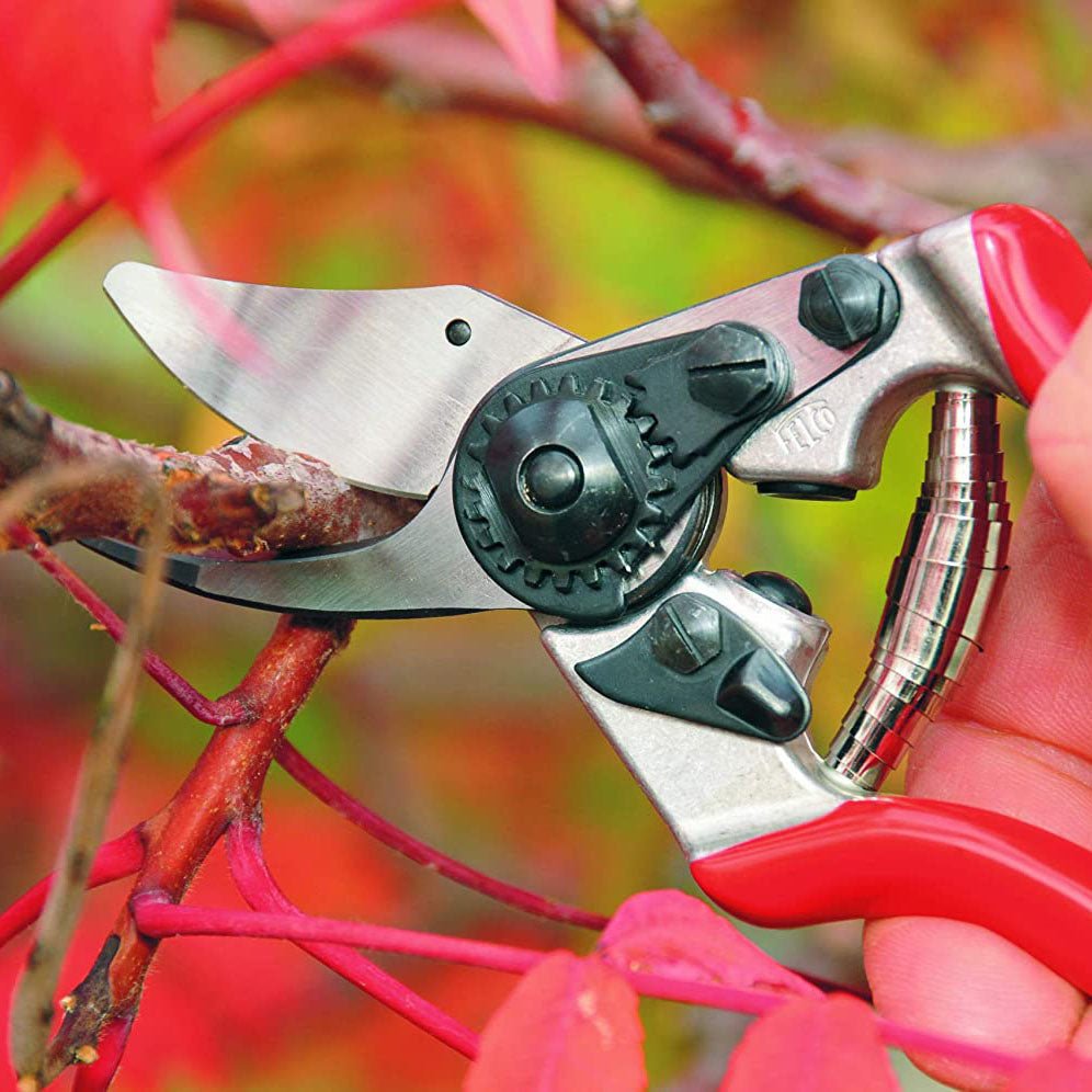 Felco F6 Pruner - Greenhouse Megastore