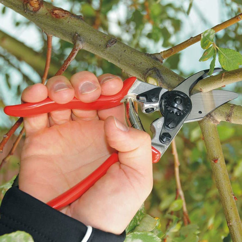 Felco F6 Pruner - Greenhouse Megastore