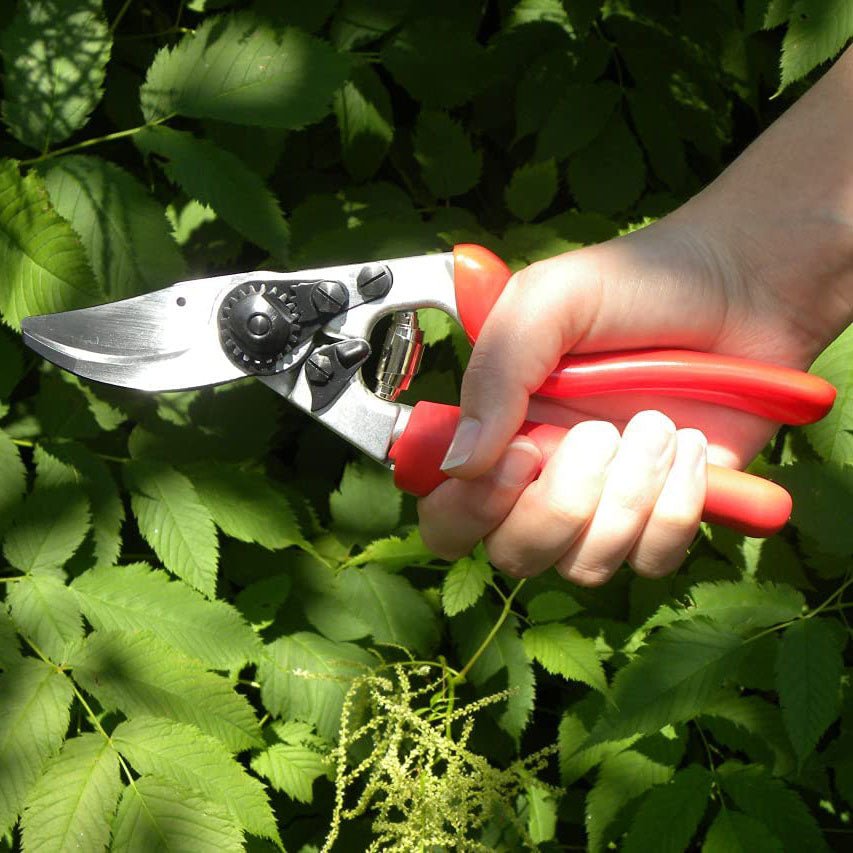Felco F7 Rotating Handle Pruner - Greenhouse Megastore