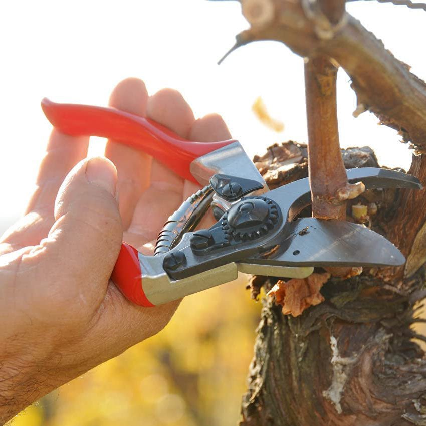 Felco F8 Ergonomically Designed Pruner - Greenhouse Megastore