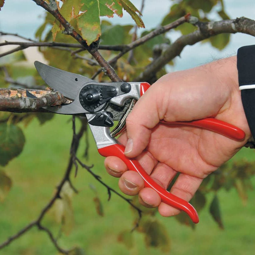 Felco F8 Ergonomically Designed Pruner - Greenhouse Megastore
