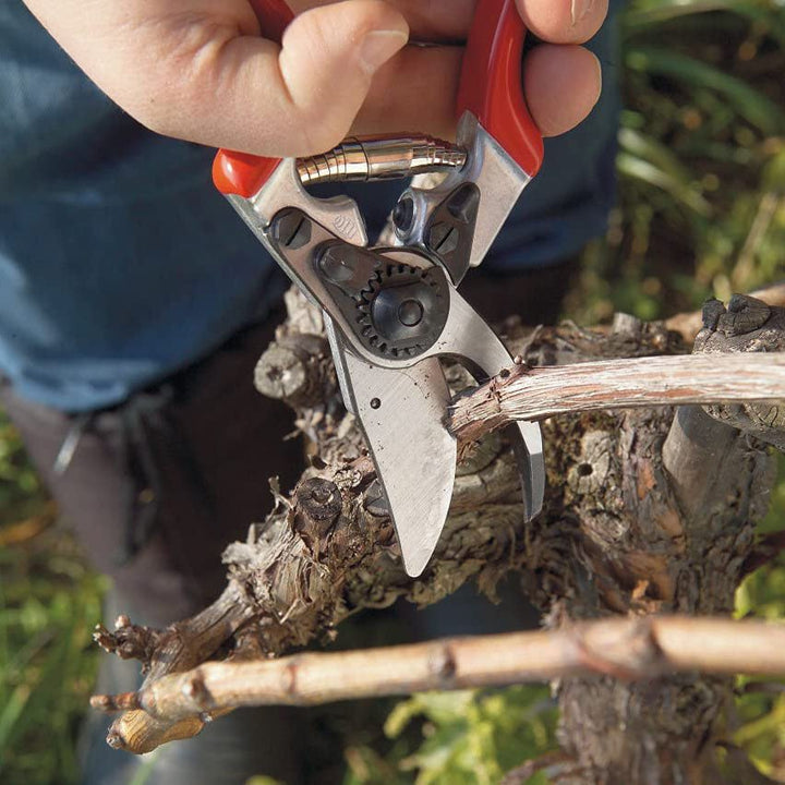 Felco F8 Ergonomically Designed Pruner - Greenhouse Megastore
