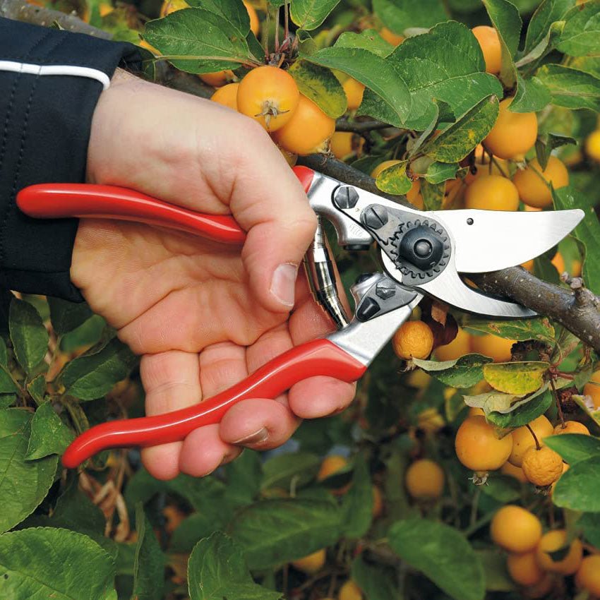Felco F9 Ergonomically Designed Pruner - Greenhouse Megastore