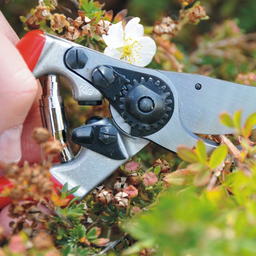 Felco F9 Ergonomically Designed Pruner - Greenhouse Megastore