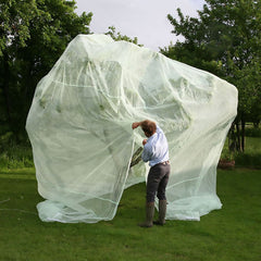 Fruit Tree Cover
