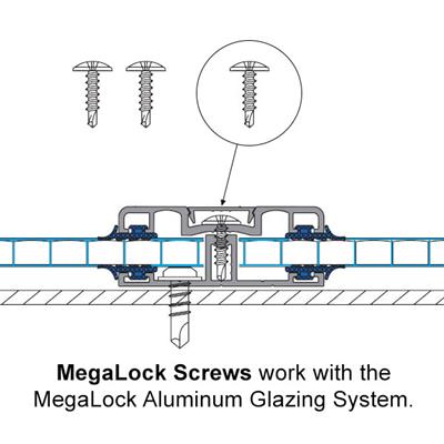Mega Lock Screws