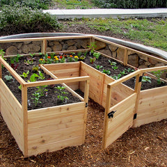 Garden in a Box