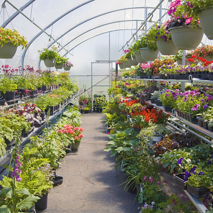 Garden Mart 21 ft. Wide Retail Greenhouse - Greenhouse Megastore
