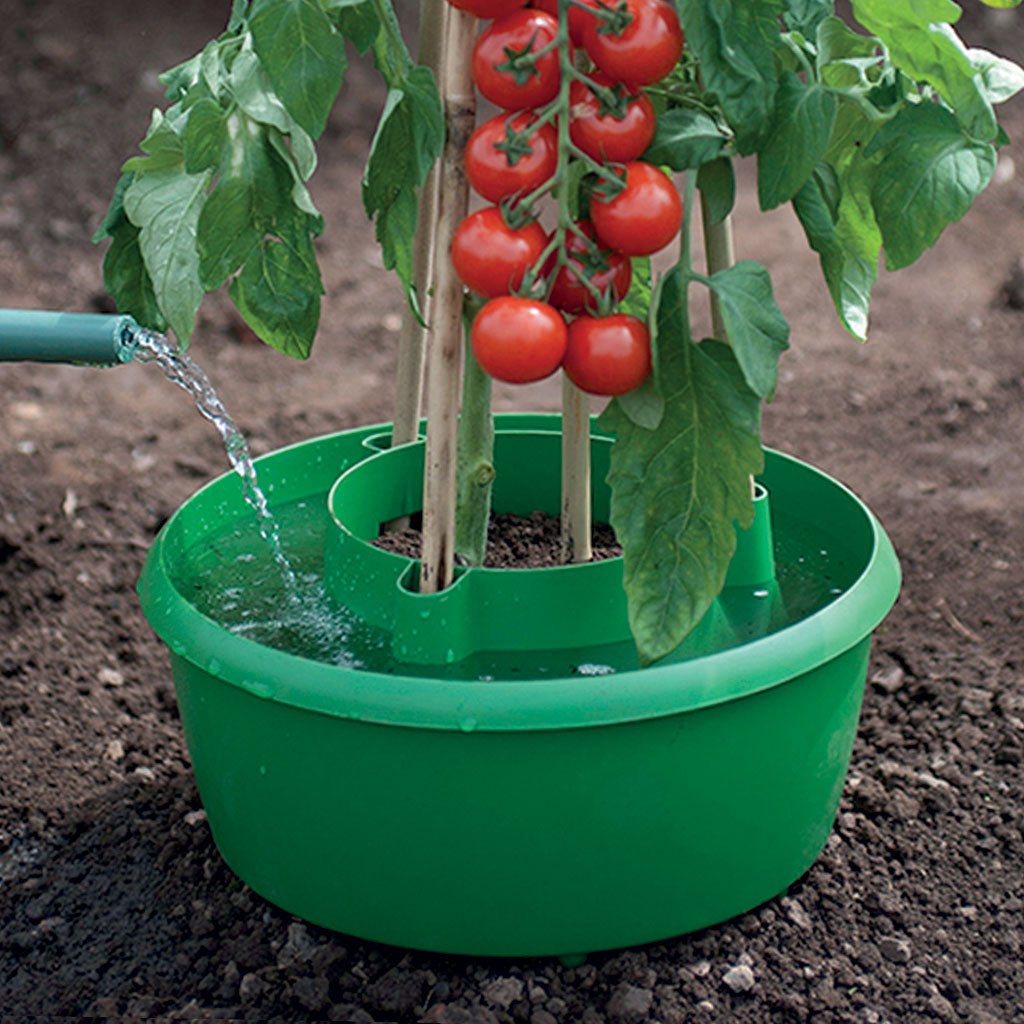 Garland 11.5 in. Plant Halo - Set of 3 - Greenhouse Megastore