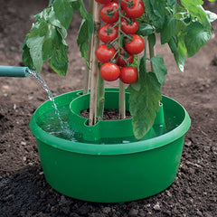 Garland 11.5 in. Plant Halo - Set of 3