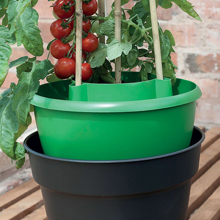 Garland 11.5 in. Plant Halo - Set of 3 - Greenhouse Megastore