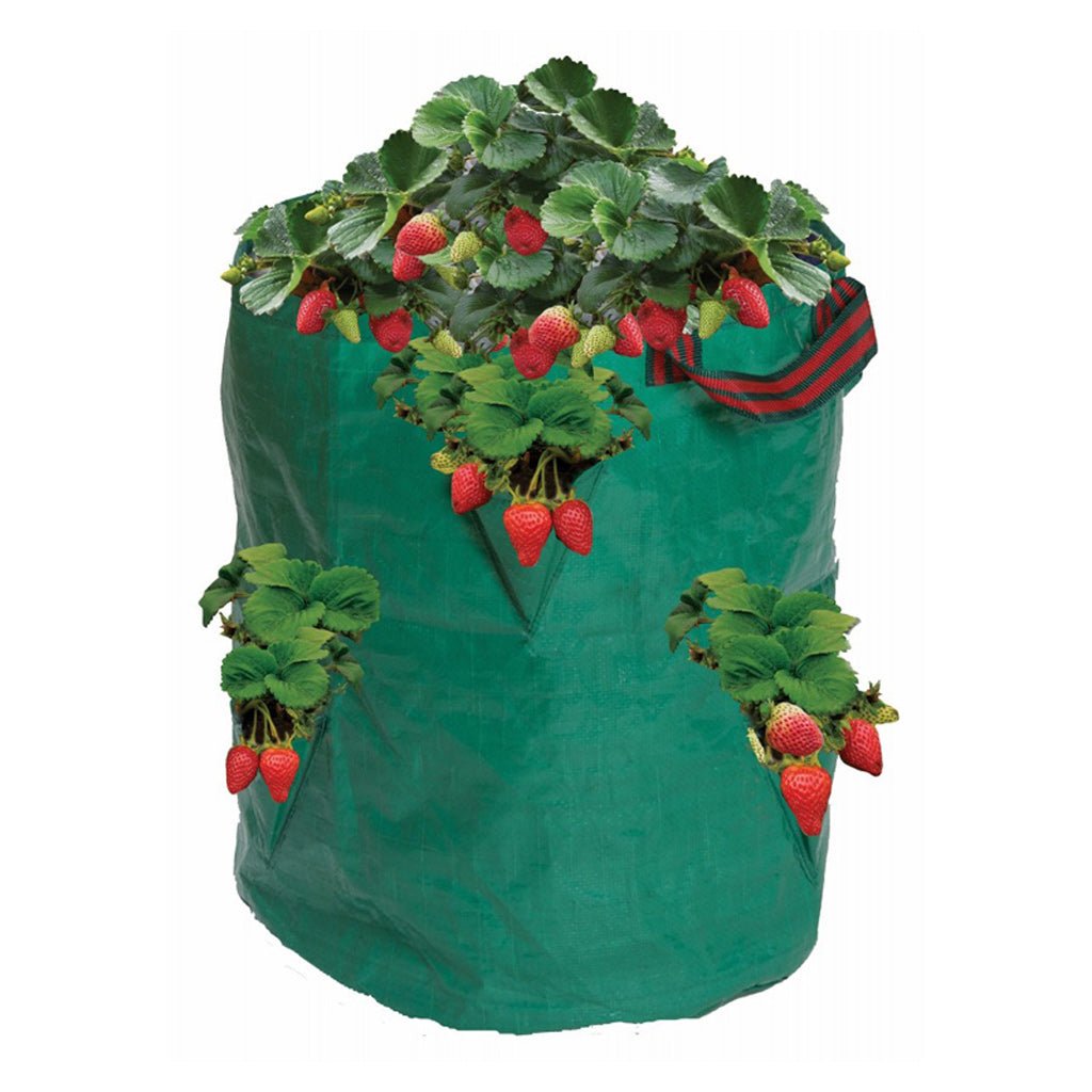 Garland 15 in. Strawberry/Herb Bag - Greenhouse Megastore