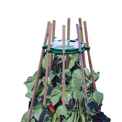 Garland Bean & Pea Ring - Greenhouse Megastore