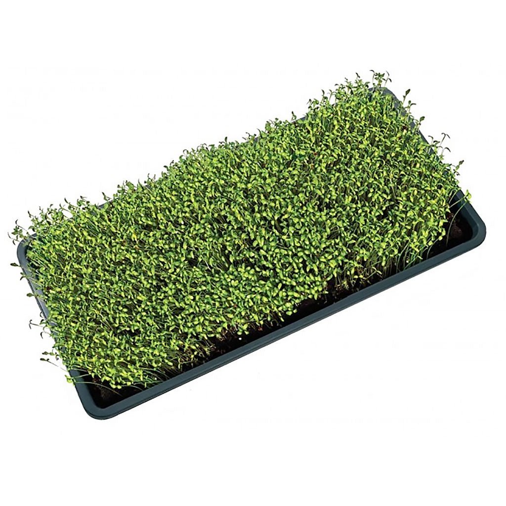Garland Microgreen Tray with Holes - Greenhouse Megastore