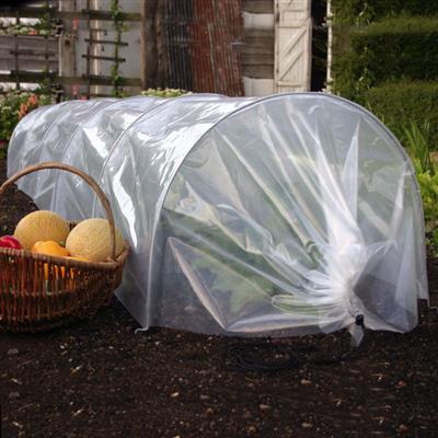 Giant Easy Poly Tunnel - Greenhouse Megastore