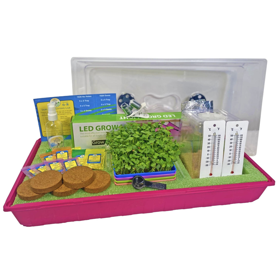 Grades 6 - 8 Tabletop Living Lab w/ Curriculum Subscription - Greenhouse Megastore