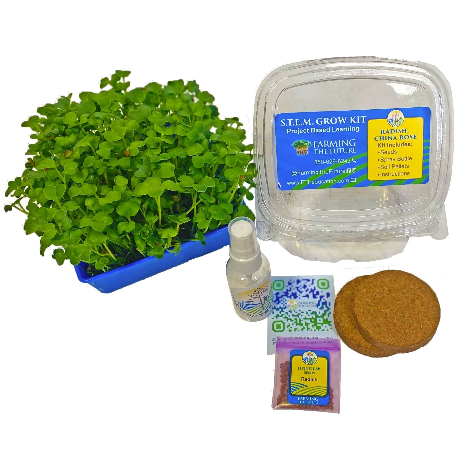 12+ Microgreen Shop Grades K-12 STEM Student Microgreen Kit - Classroom Bundle – Greenhouse